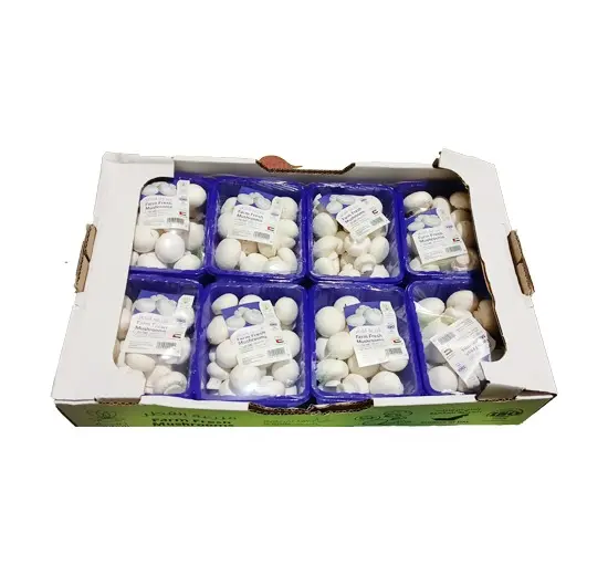 White Mushroom 2kg Iran